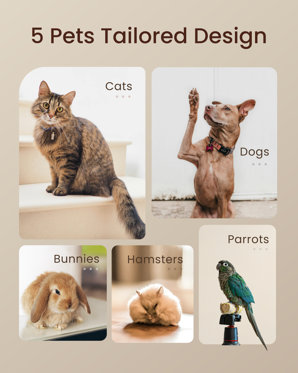 Pet Treats Maker Gift Set – 10 Types of Homemade Fresh Treats & Foods for 5 Pet Types, 5.5-Qt Quick 7-in-1 Cooking Machine with Easy One-Touch Panel,100+ DIY Recipes,Wet Cat Food,Dog Jerky